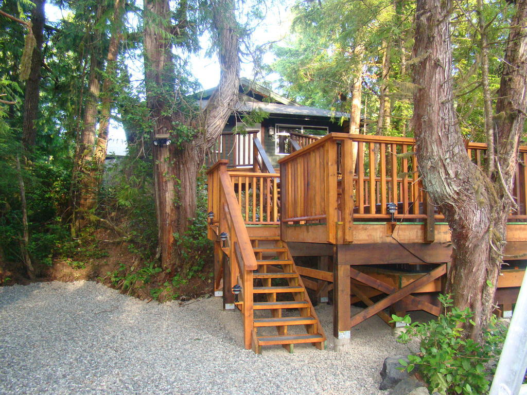 Tofino Forest View Cabin By Cox Bay Villa Habitación foto